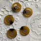 Tortoise Shell Button (23mm) - Set of 4