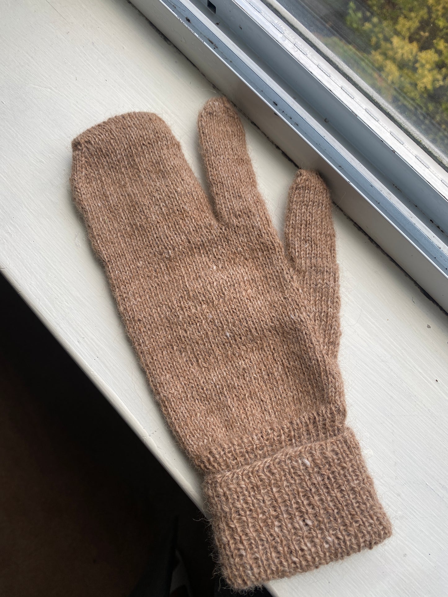 Typical Tabi Gloves