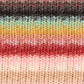 Noro Kureyon